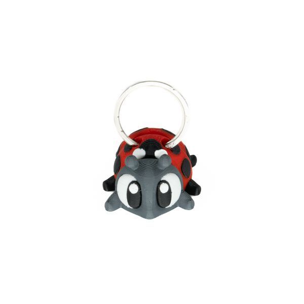 Cute Coccinellidae / Миле Сонечко Keychain &mdash; 3D-друкована фігурка/іграшка та брелок 03037100 фото
